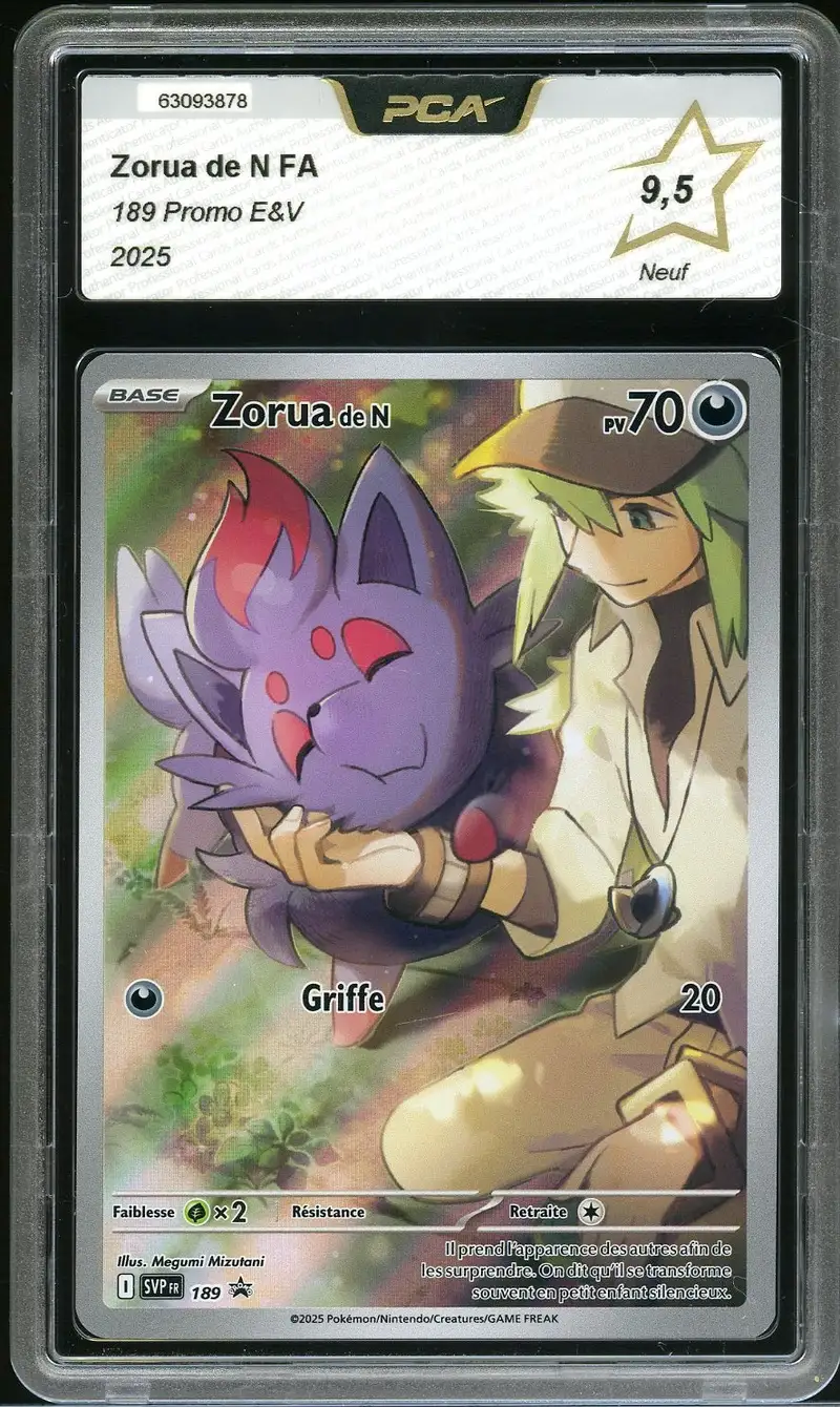 PCA 9.5 Zorua de N
