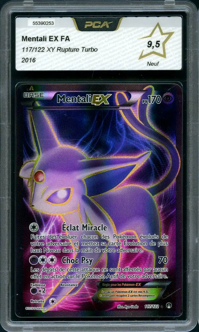 PCA 9.5 Mentali Ex