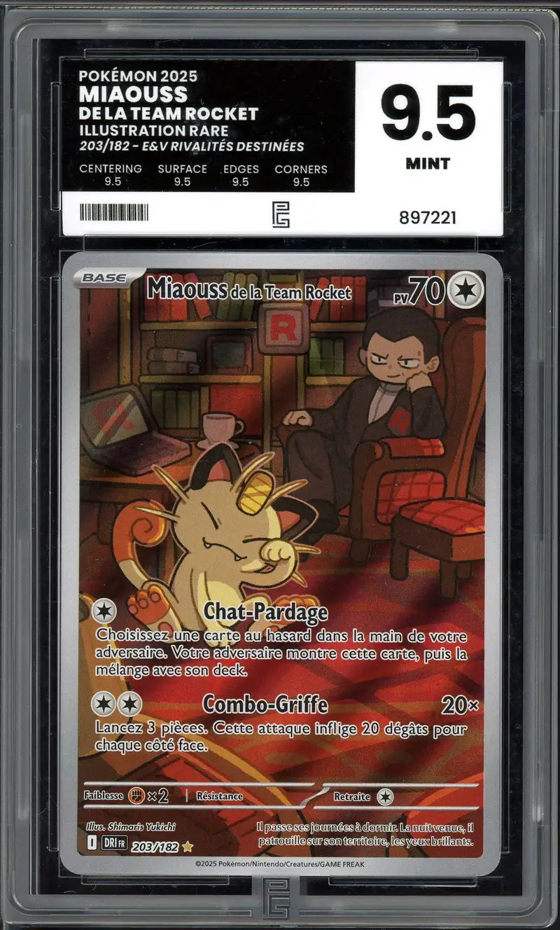 PG 9.5 Miaouss de la Team Rocket