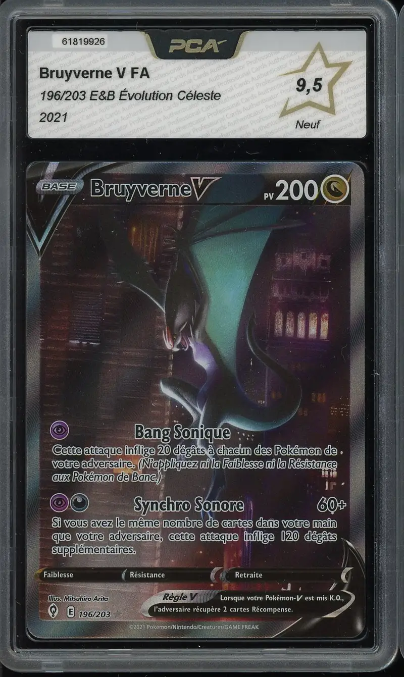 PCA 9.5 Bruyverne V
