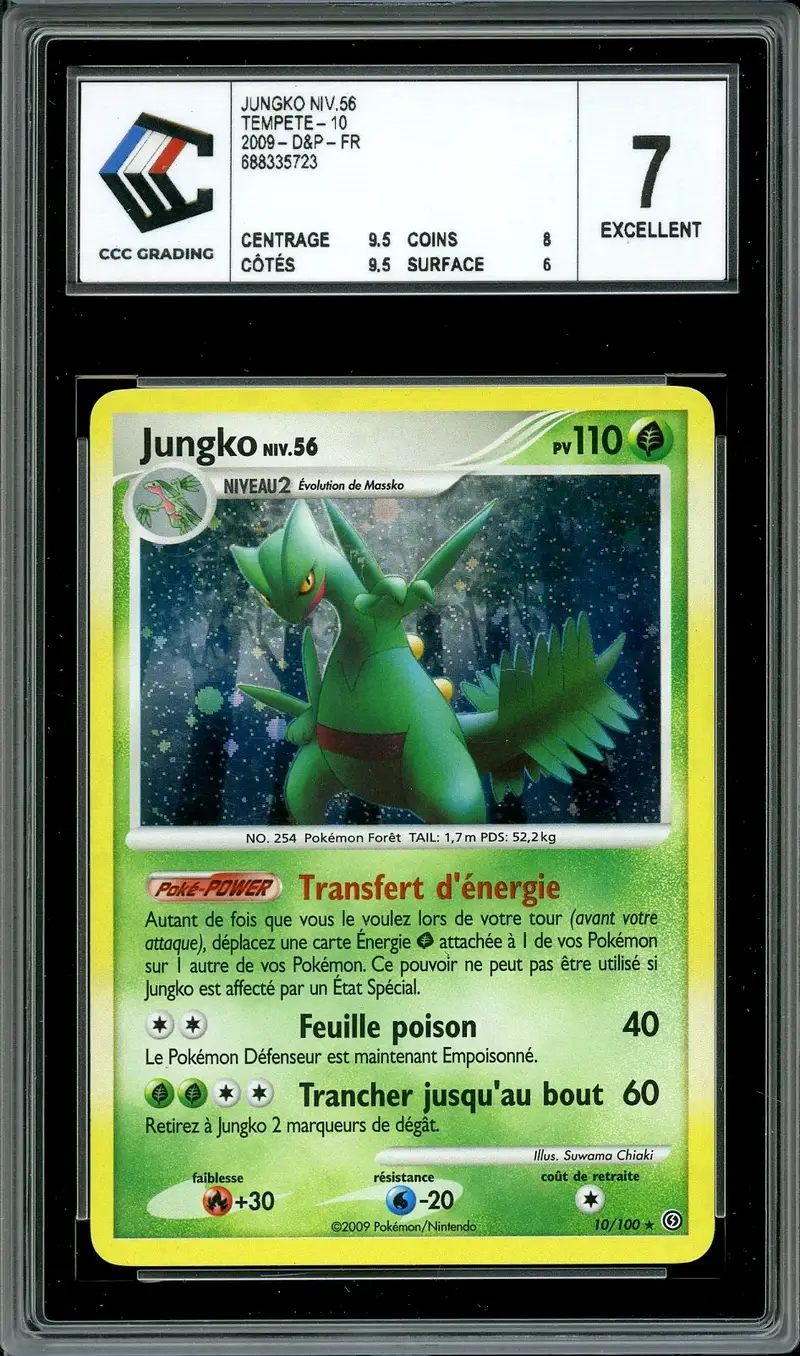 CCC 7 Jungko Holo