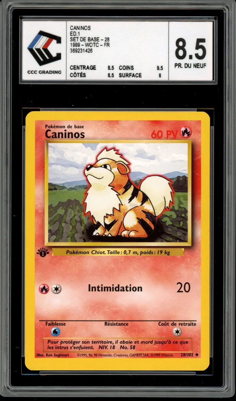CCC 8.5 Caninos