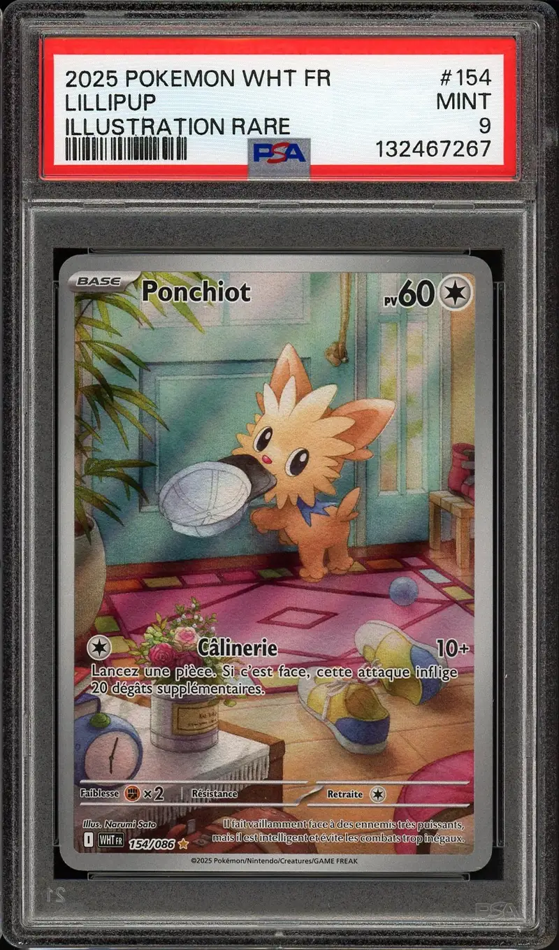 PSA 9 Ponchiot