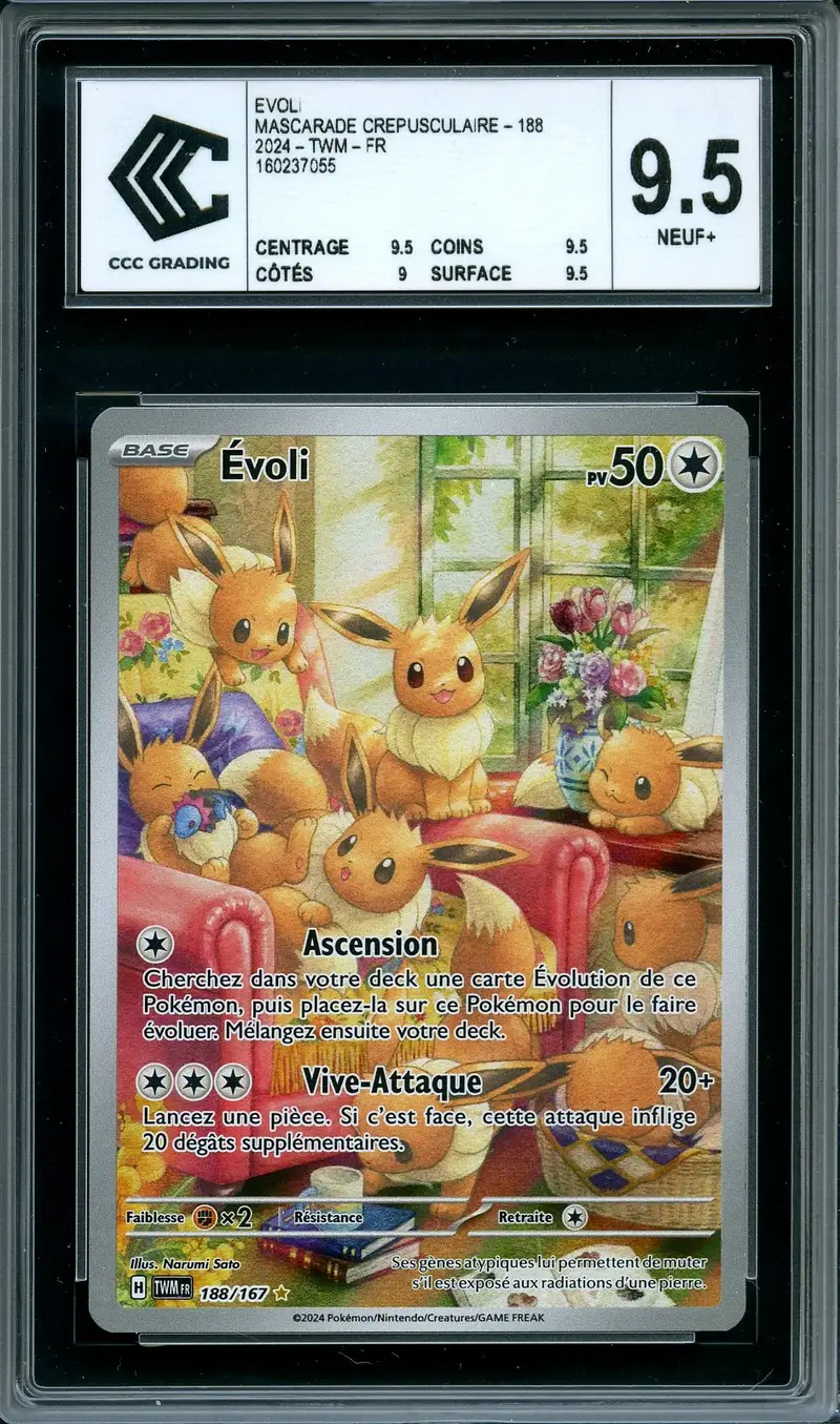 CCC 9.5 Evoli
