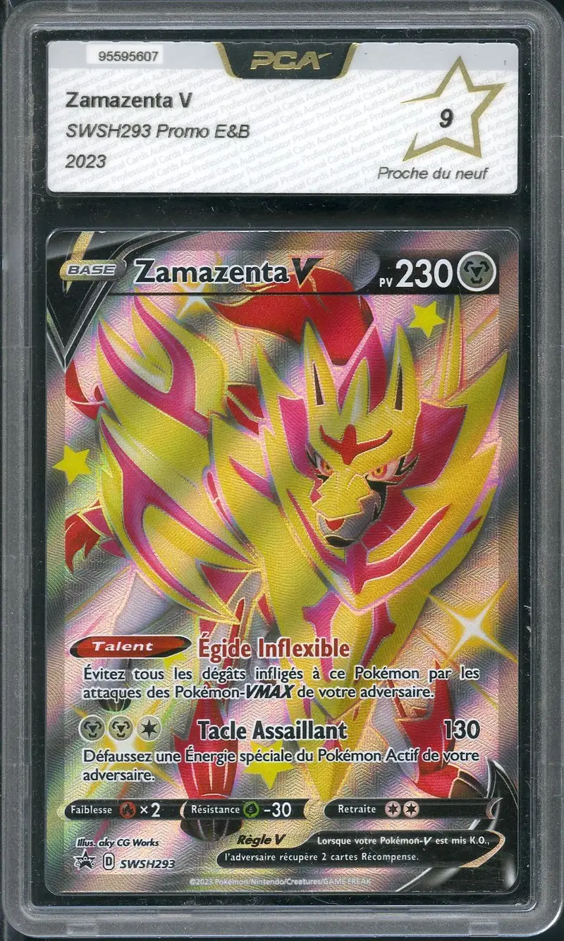 PCA 9 Zamazenta V