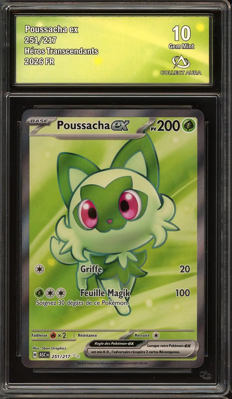 CA 10 Poussacha Ex