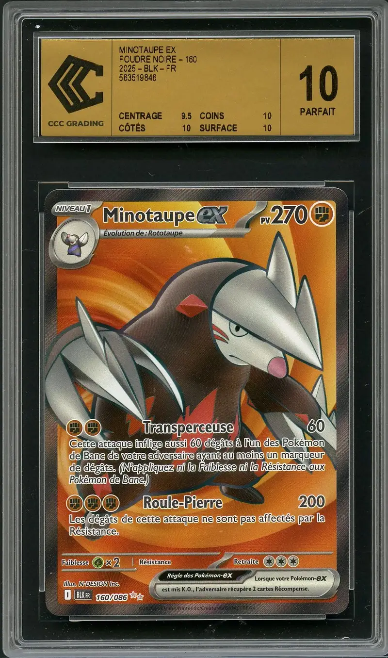 CCC 10 Minotaupe Ex