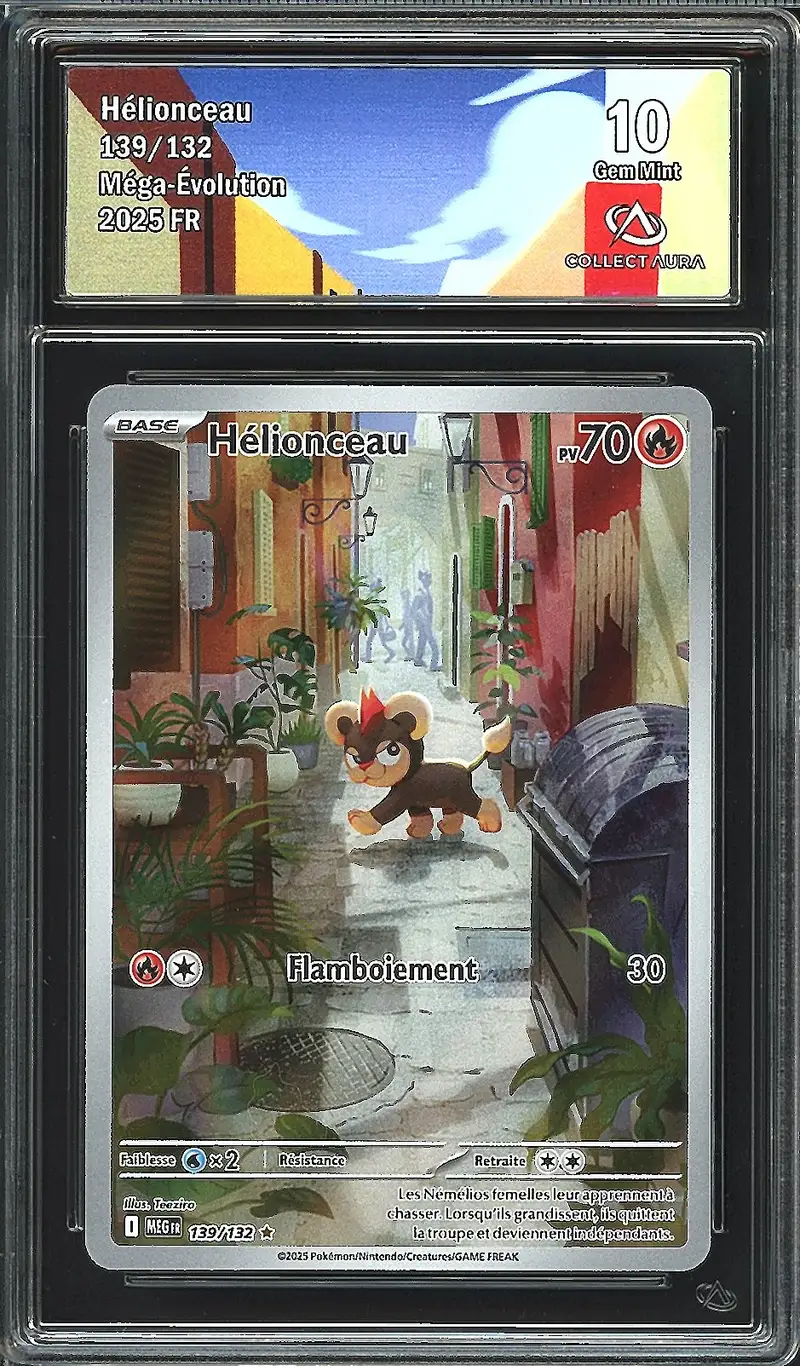 CA 10 Hélionceau