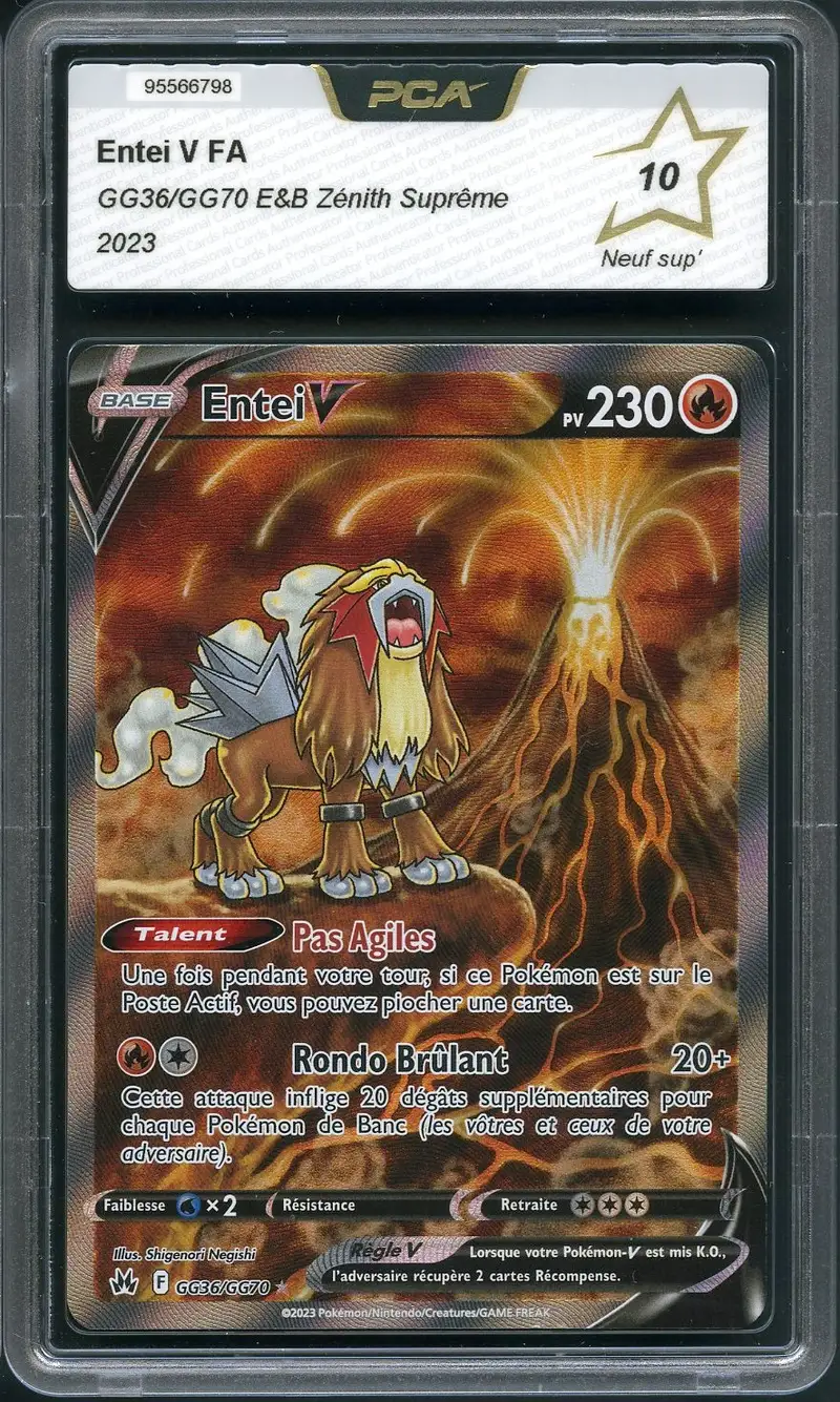 PCA 10 Entei V