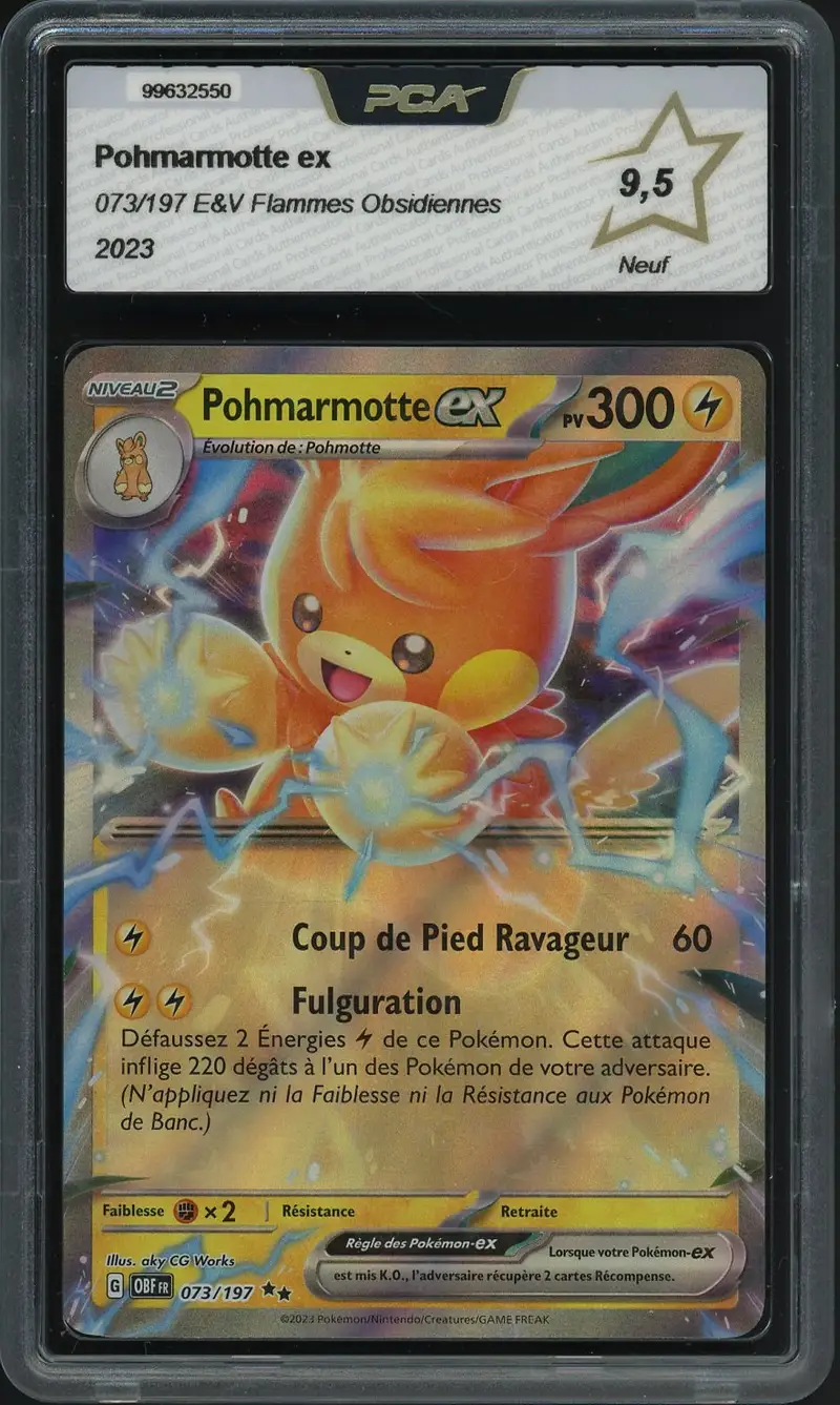 PCA 9.5 Pohmarmotte Ex