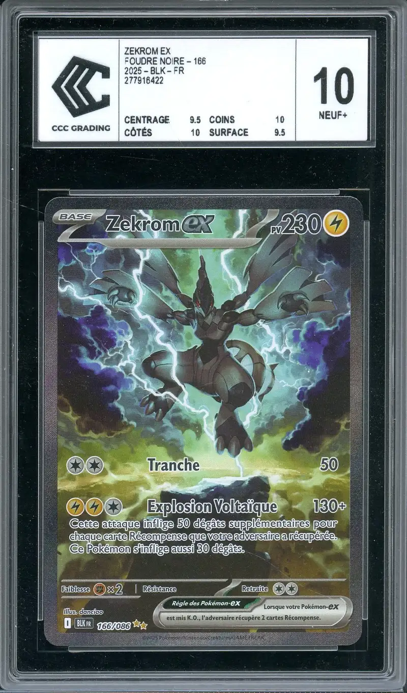 CCC 10 Zekrom Ex