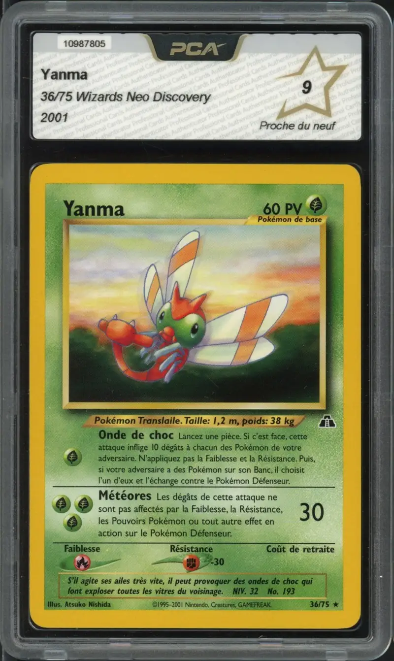 PCA 9 Yanma