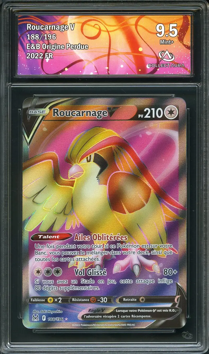 CA 9.5 Roucarnage V