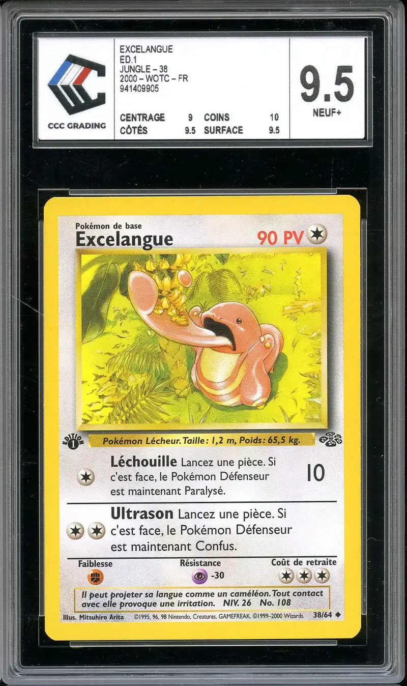 CCC 9.5 Excelangue