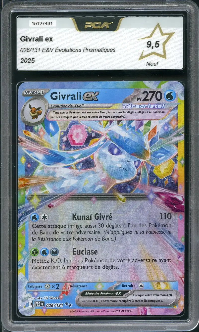 PCA 9.5 Givrali Ex