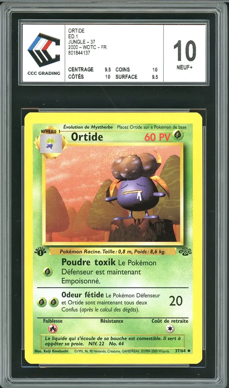 CCC 10 Ortide