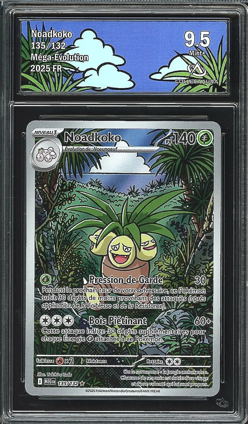 CA 9.5 Noadkoko