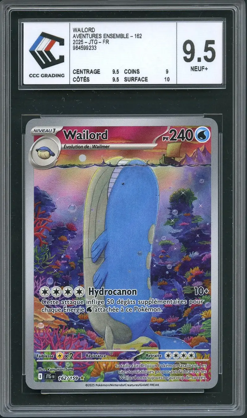 CCC 9.5 Wailord