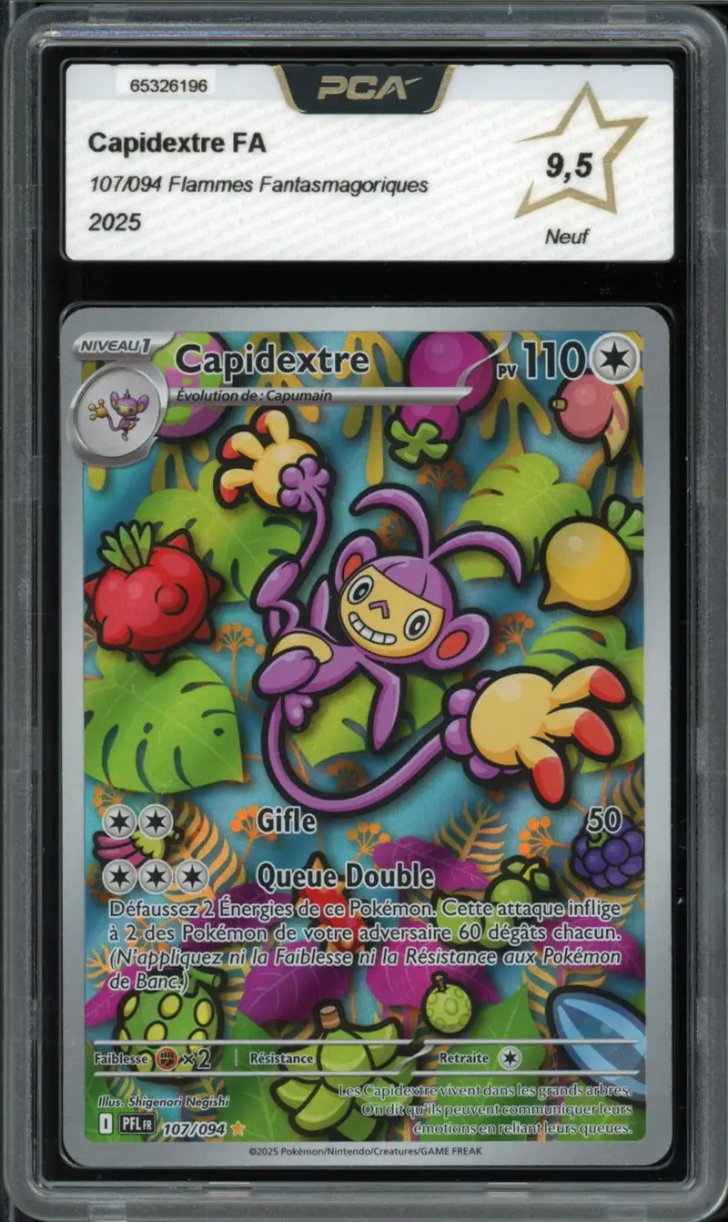 PCA 9.5 Capidextre