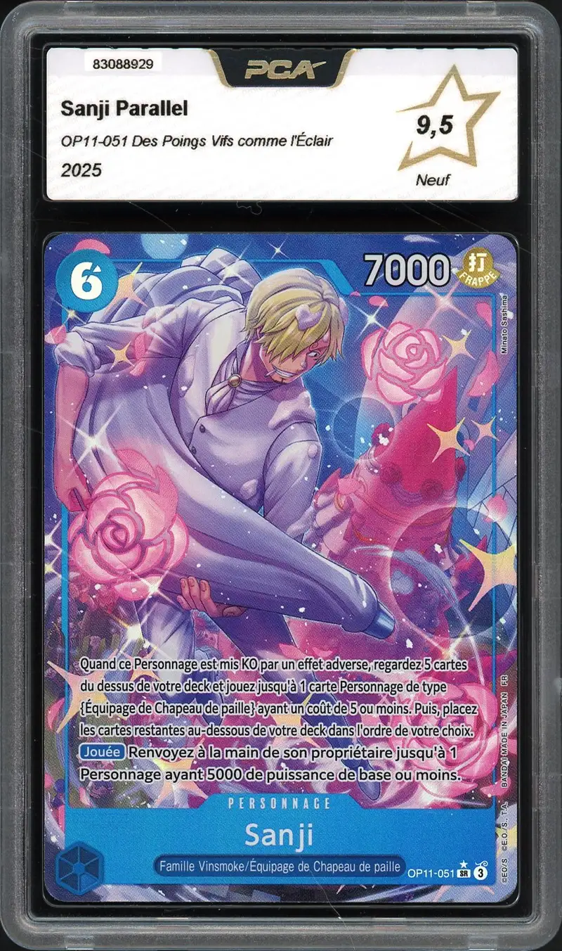 PCA 9.5 Sanji