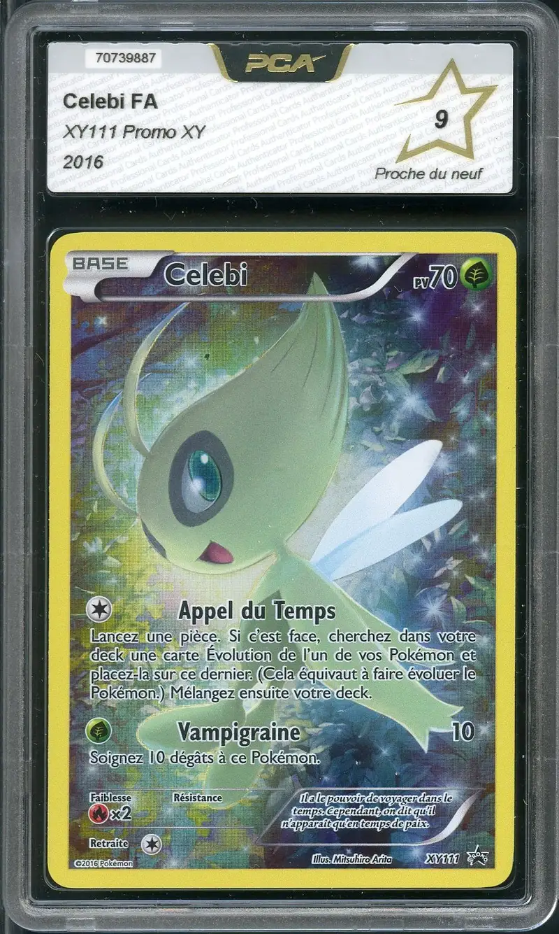 PCA 9 Celebi