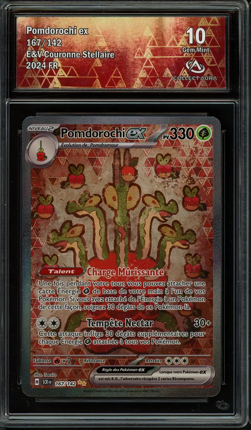 CA 10 Pomdorochi Ex