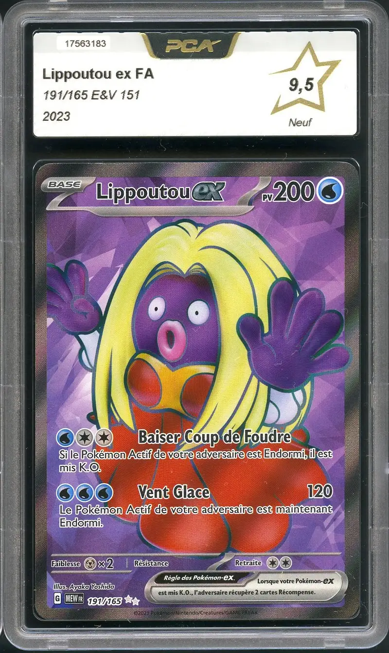 PCA 9.5 Lippoutou Ex