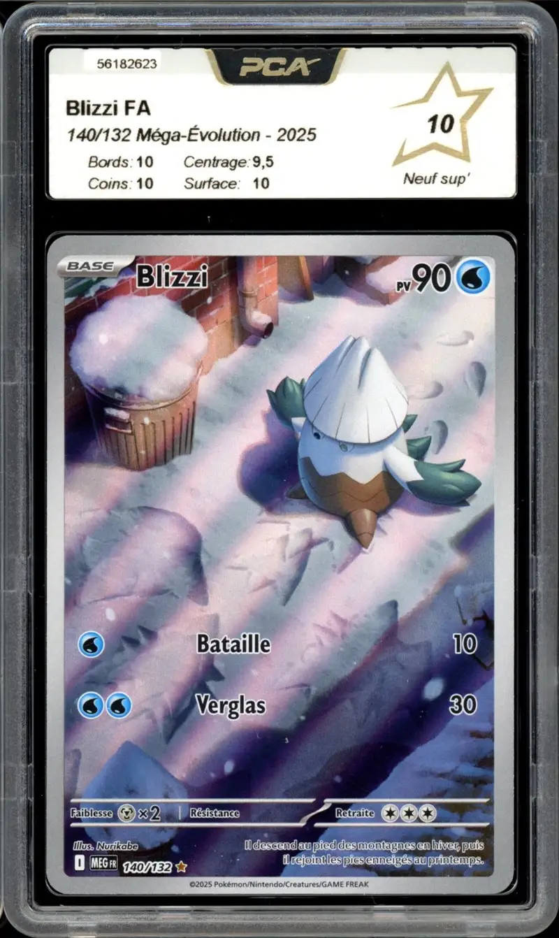PCA 10 Blizzi