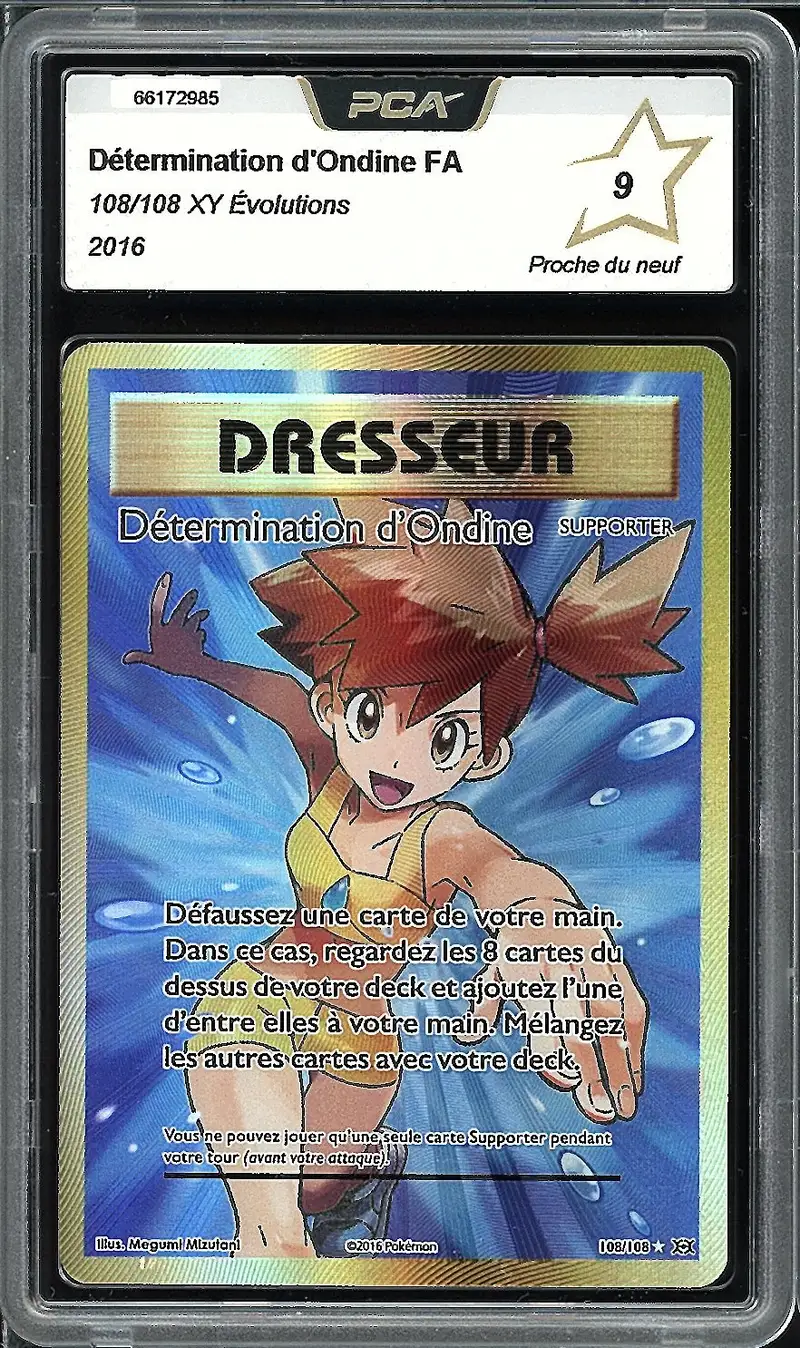 PCA 9 Détermination d'Ondine