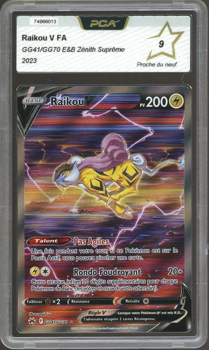 PCA 9 Raikou V