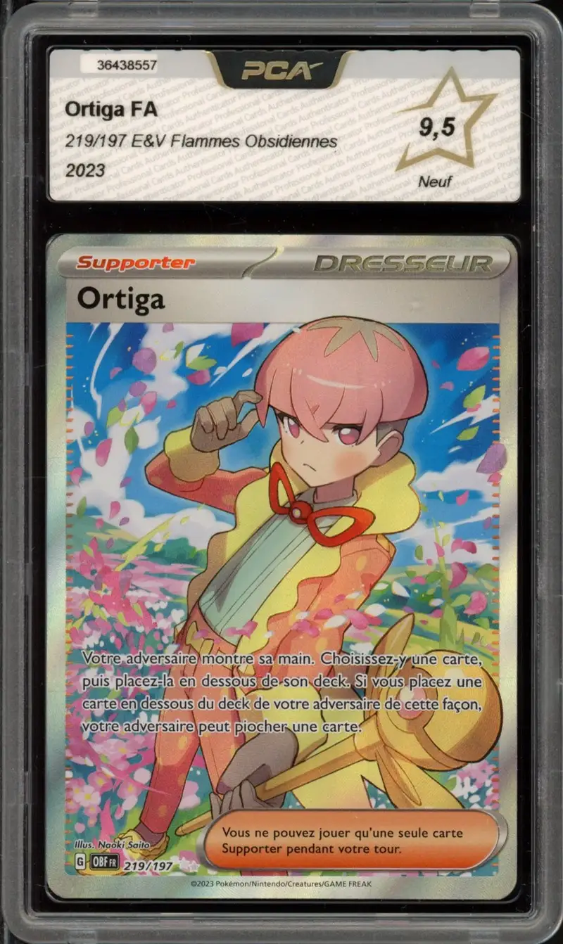 PCA 9.5 Ortiga