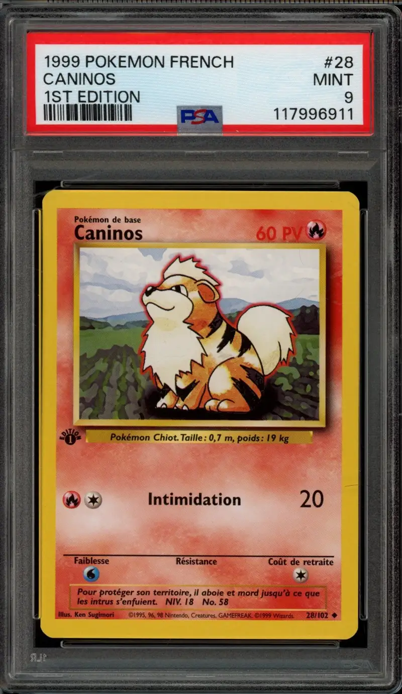 PSA 9 Caninos