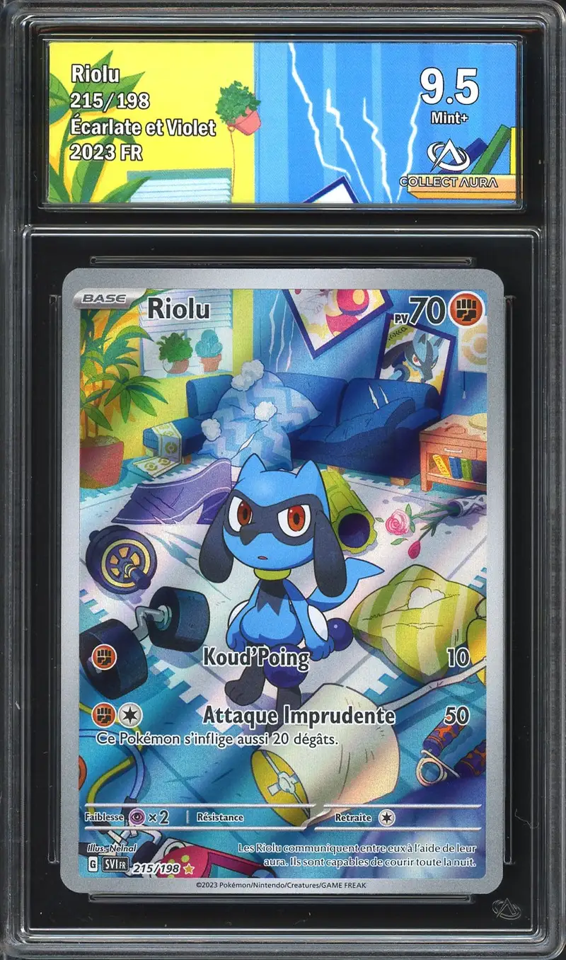 CA 9.5 Riolu