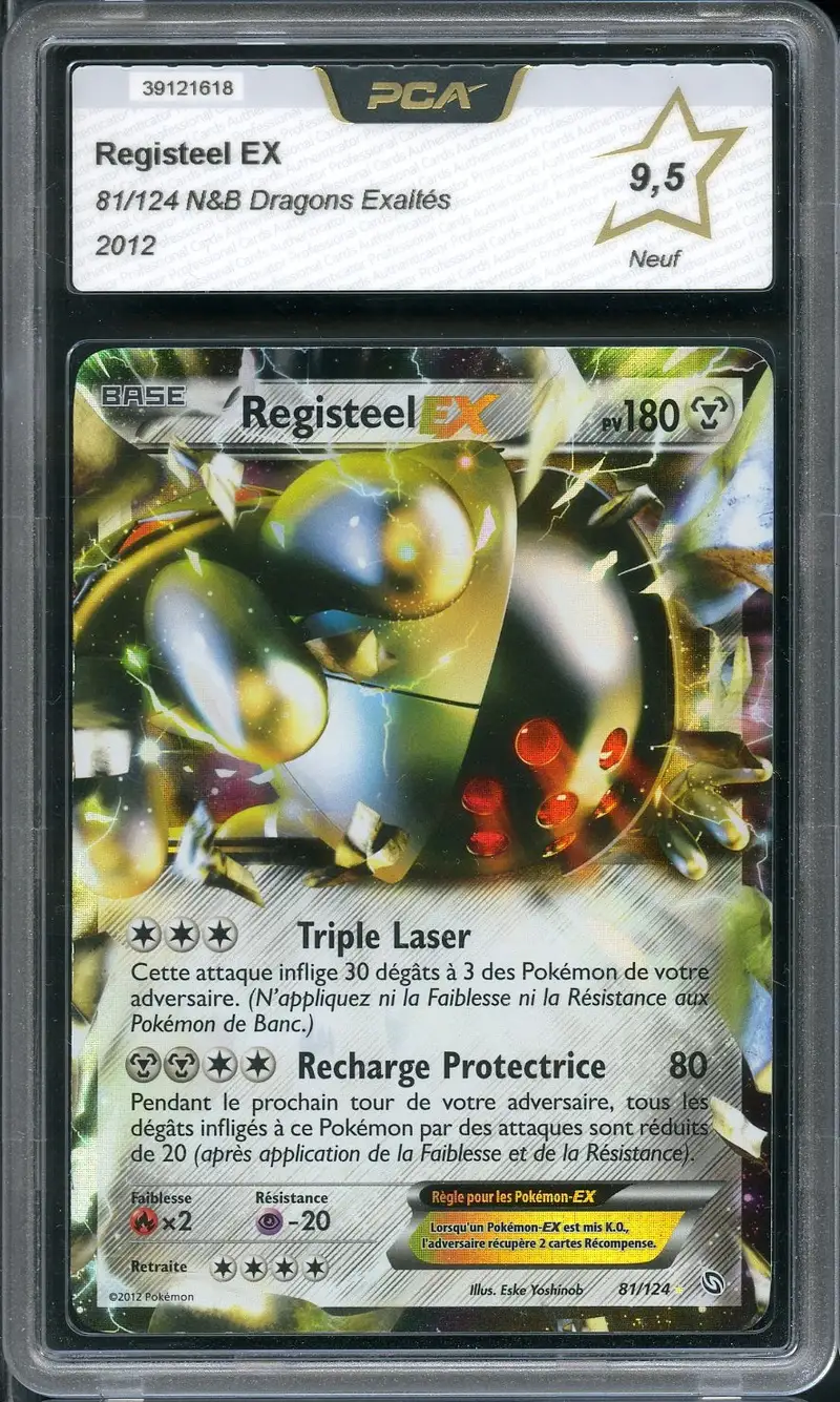 PCA 9.5 Registeel Ex