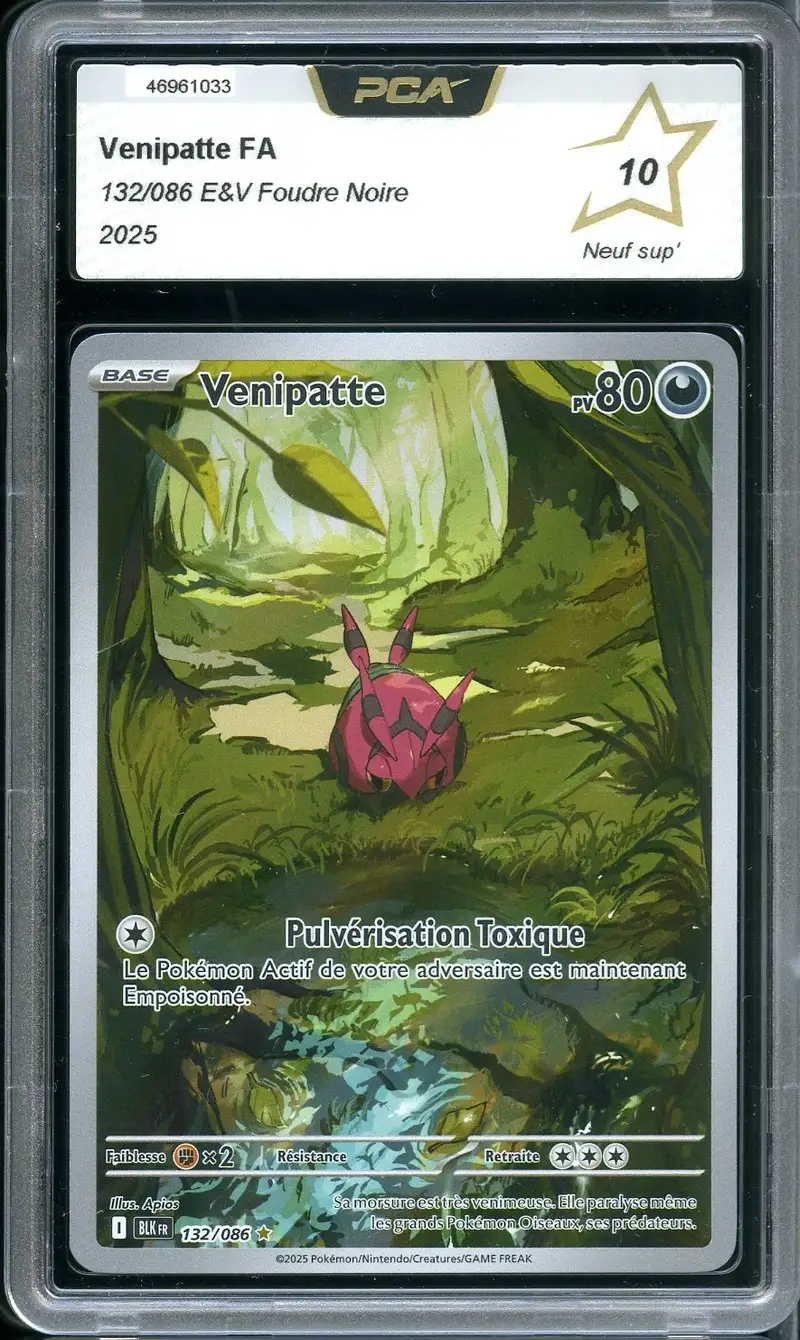 PCA 10 Venipatte