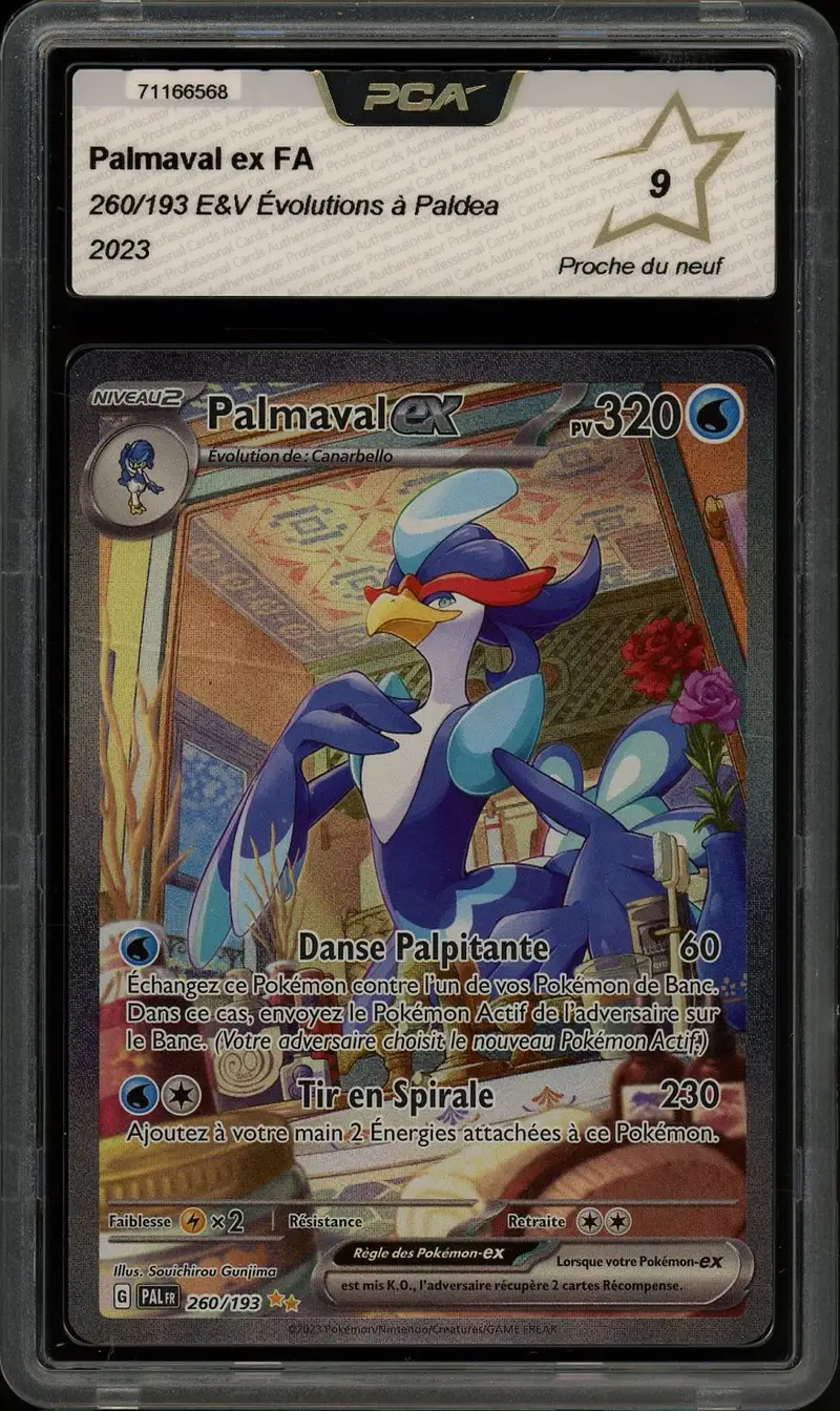 PCA 9 Palmaval Ex