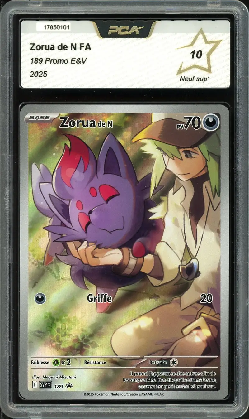 PCA 10 Zorua de N
