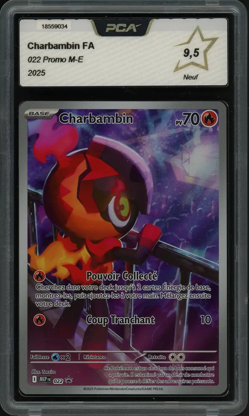 PCA 9.5 Charbambin