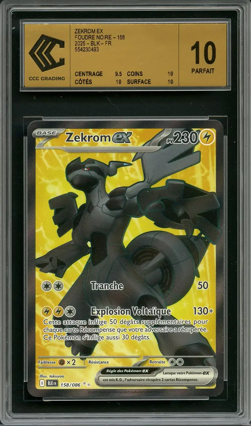 CCC 10 Zekrom Ex
