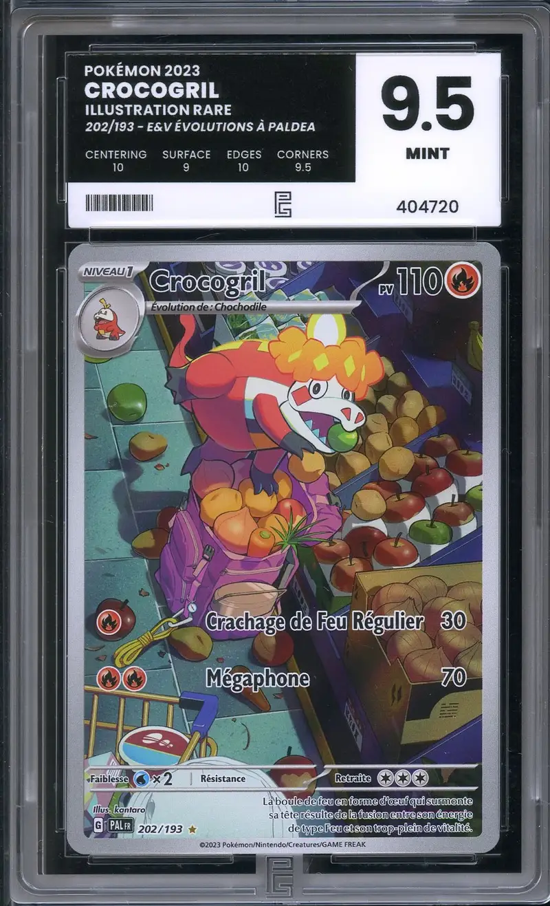 PG 9.5 Crocogril