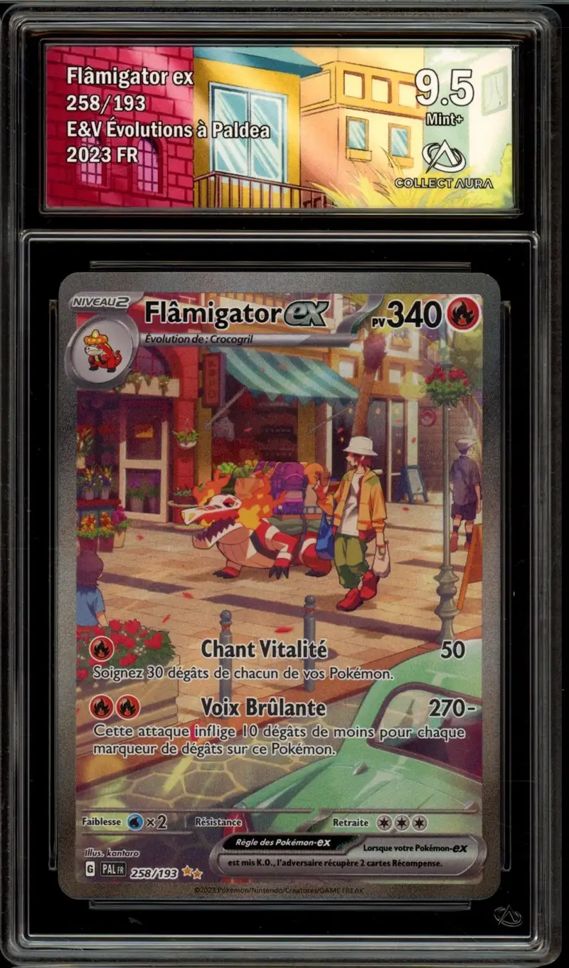 CA 9.5 Flâmigator Ex