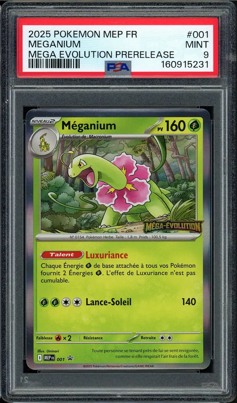 PSA 9 Méganium Holo