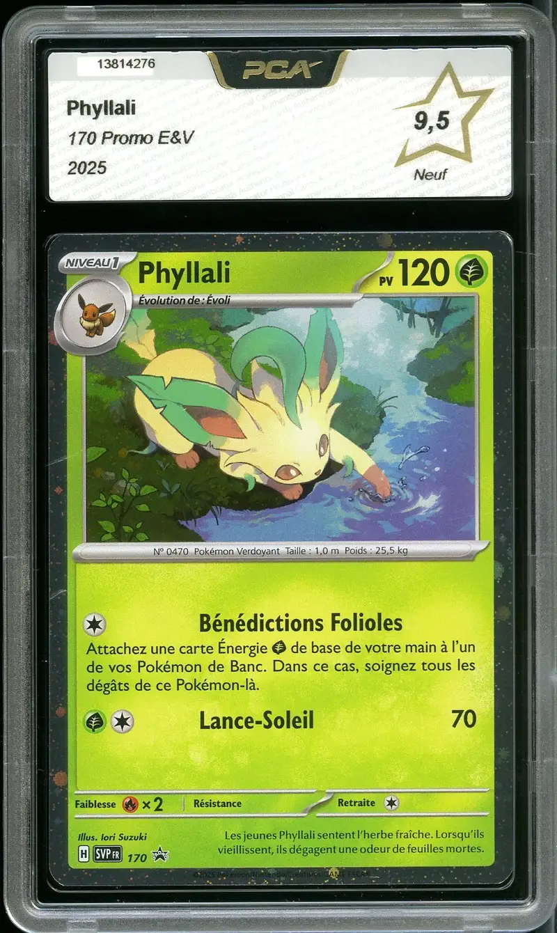 PCA 9.5 Phyllali