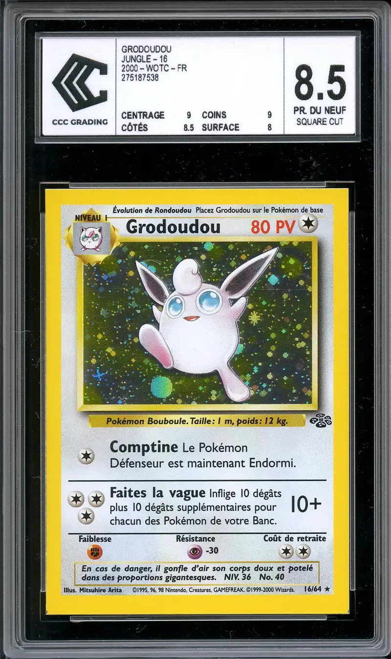 CCC 8.5 Grodoudou Holo