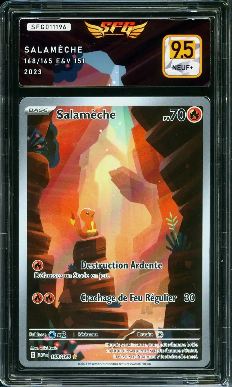 SFG 9.5 Salamèche