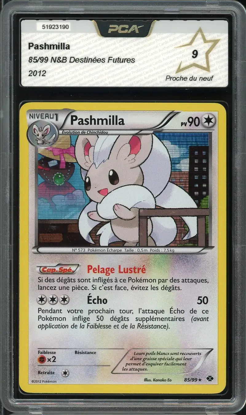 PCA 9 Pashmilla Holo