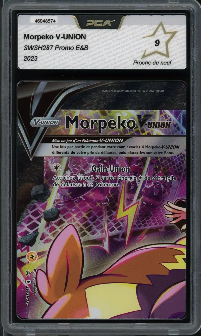 PCA 9 Morpeko V Union