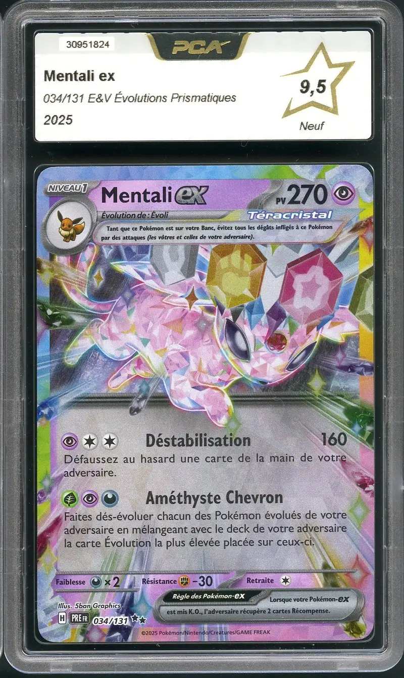 PCA 9.5 Mentali Ex