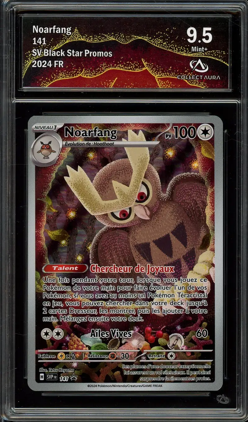 CA 9.5 Noarfang