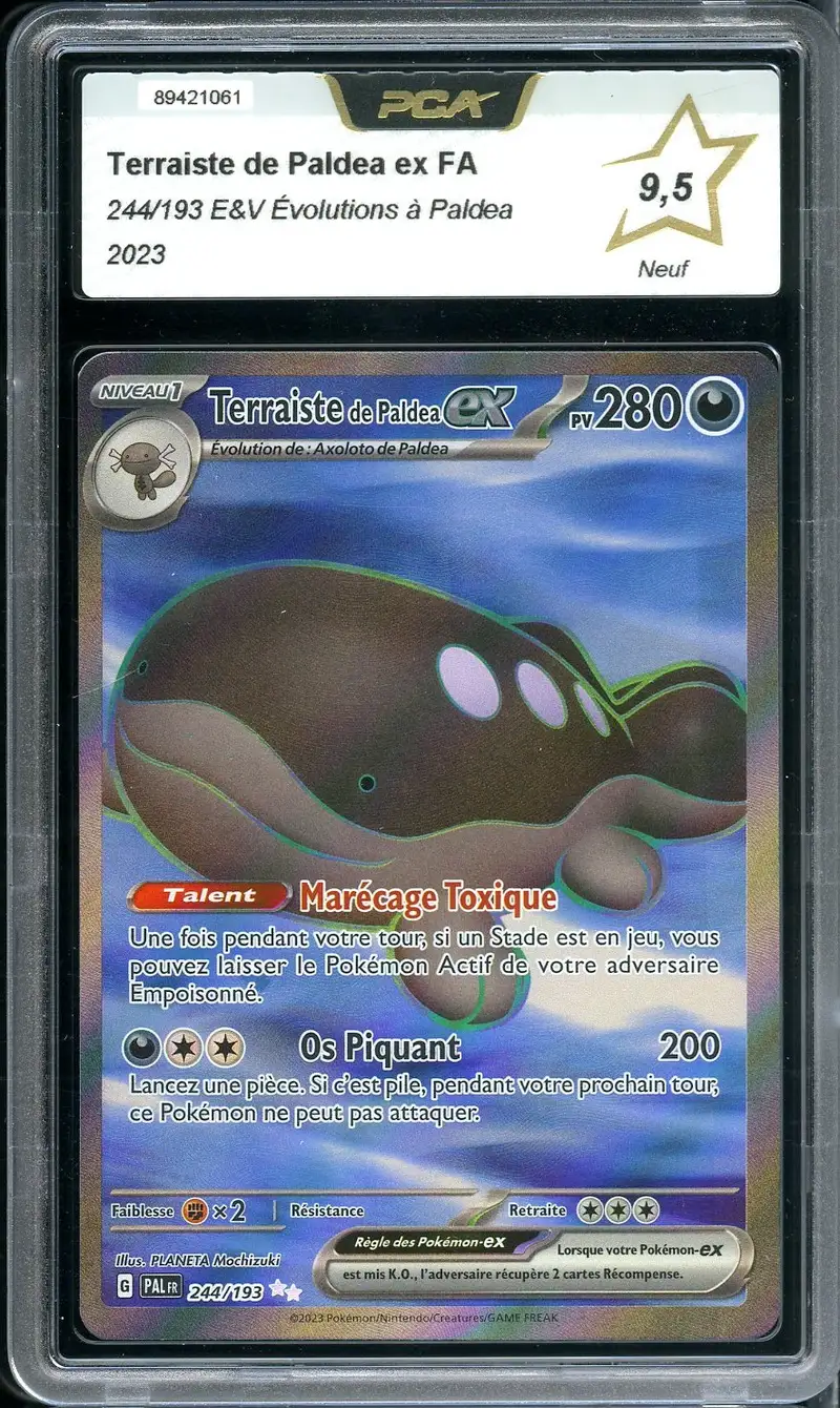 PCA 9.5 Terraiste de Paldéa Ex